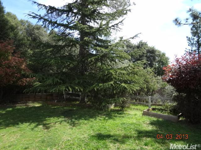 18391 Climax Rd, Jackson, CA 95642 photo 18