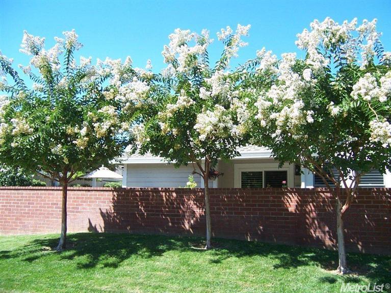 1053 Harrington Way, Carmichael, CA 95608 photo 2