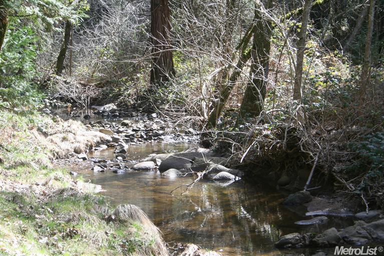 1544 Big Oak Rd, Placerville, CA 95667 photo 2