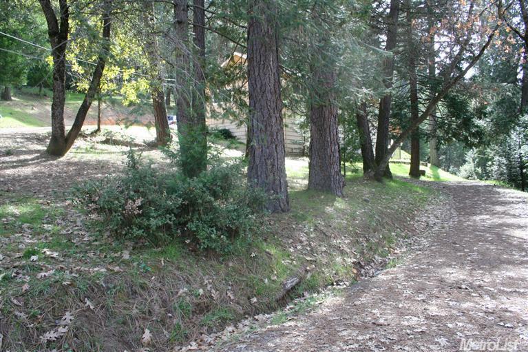 1544 Big Oak Rd, Placerville, CA 95667 photo 22