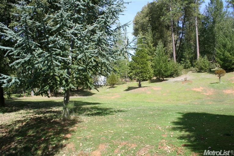 1544 Big Oak Rd, Placerville, CA 95667 photo 5