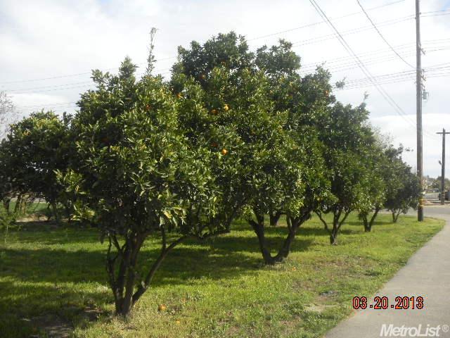 625 E Taylor Rd, Turlock, CA 95382 photo 23
