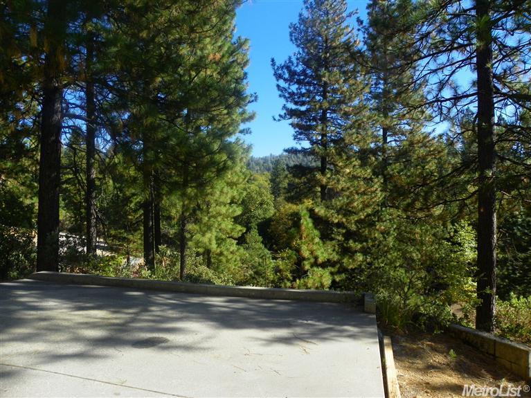 23585 Tree Farm Rd, Colfax, CA 95713 photo 20