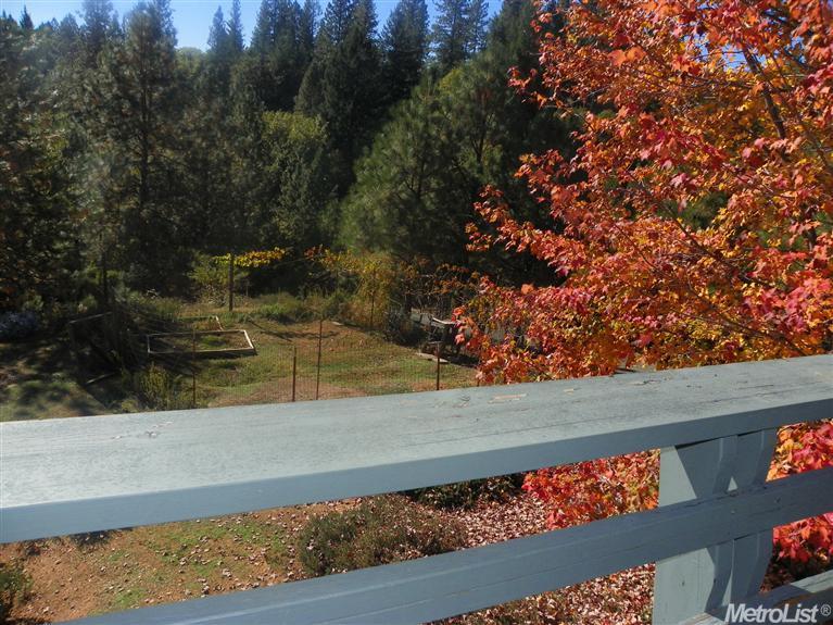 23585 Tree Farm Rd, Colfax, CA 95713 photo 1