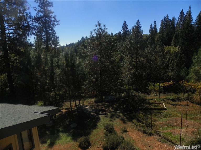 23585 Tree Farm Rd, Colfax, CA 95713 photo 5