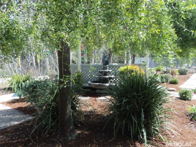900 Wellsford Rd, Modesto, CA 95357 photo 19