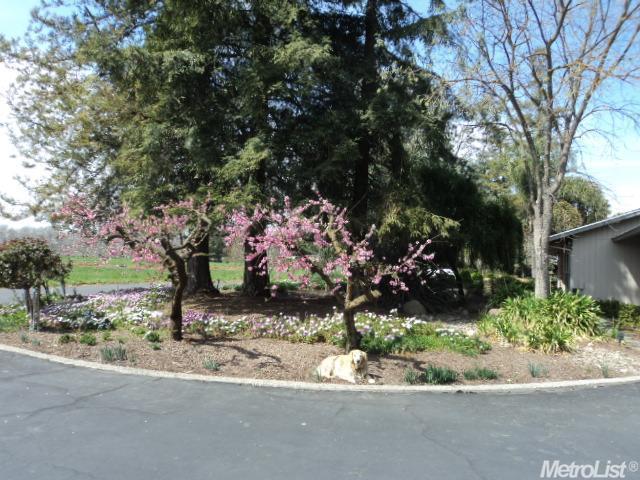 900 Wellsford Rd, Modesto, CA 95357 photo 25