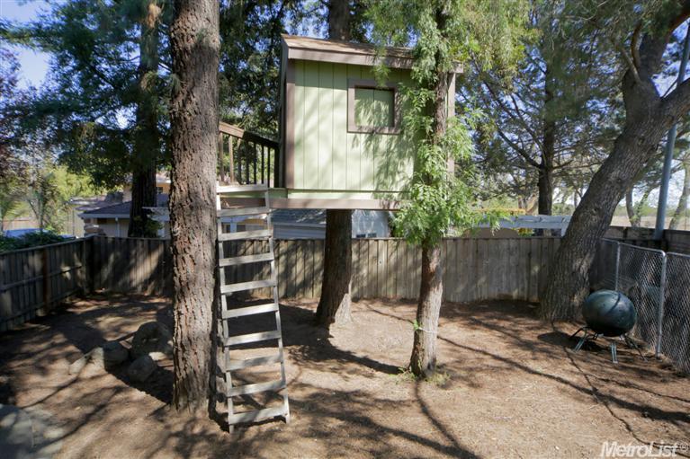 505 Coolidge Ct, Davis, CA 95616 photo 25