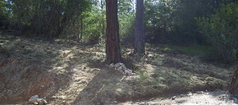 2517 Aggregate Ct, Placerville, CA 95667 photo 14