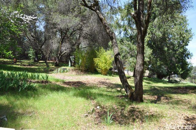 2900 Miller Way, Placerville, CA 95667 photo 8
