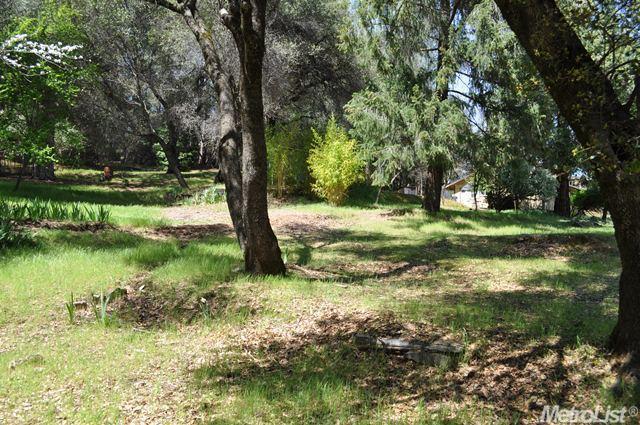 2900 Miller Way, Placerville, CA 95667 photo 7