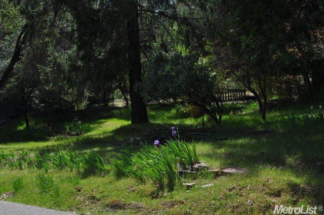 2900 Miller Way, Placerville, CA 95667 photo 10