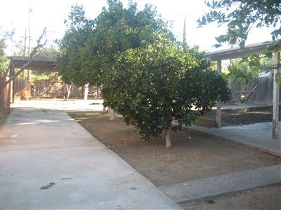 1409 Garden Ave, Modesto, CA 95351 photo 5