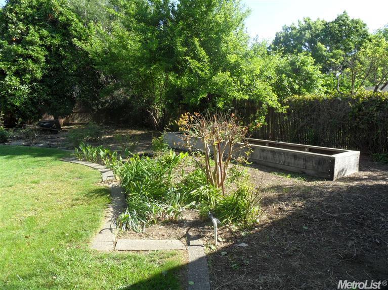 608 Coolidge St, Davis, CA 95616 photo 19