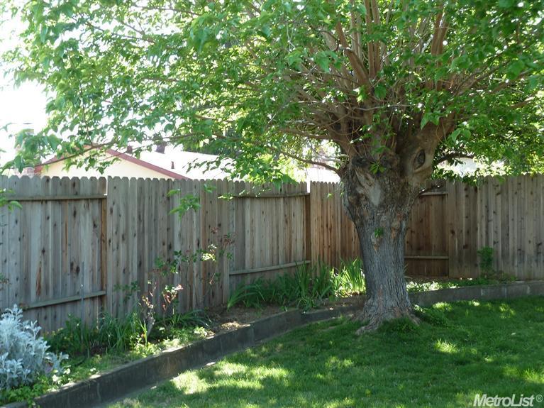 6008 Denver Dr, Carmichael, CA 95608 photo 14
