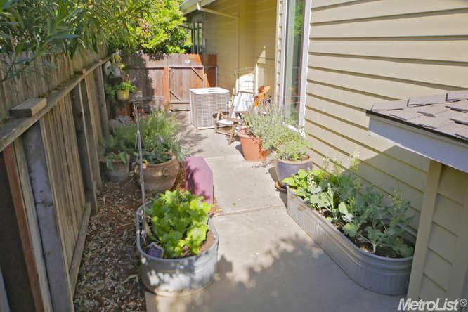 500 Angela St, Davis, CA 95618 photo 6