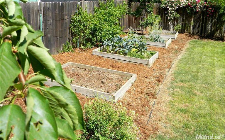 2833 Loyola Dr, Davis, CA 95618 photo 22