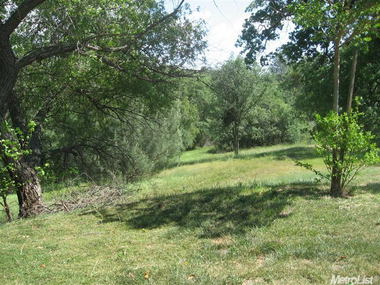 19500 E Lambert Rd, Ione, CA 95640 photo 5