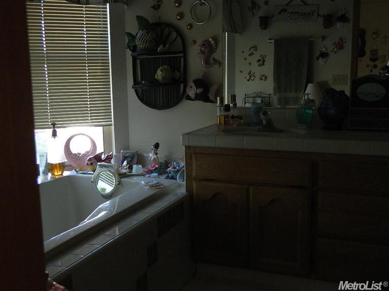 19500 E Lambert Rd, Ione, CA 95640 photo 10