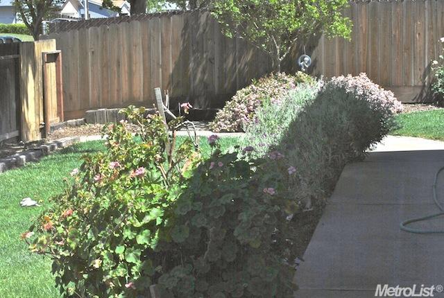 888 Madeline Ct, Merced, CA 95341 photo 6