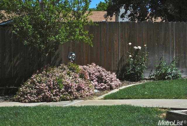 888 Madeline Ct, Merced, CA 95341 photo 5