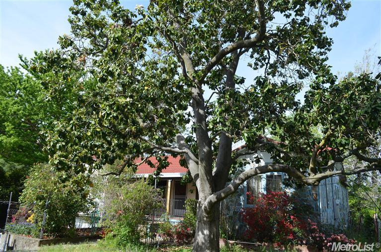 3905 Dell Rd, Carmichael, CA 95608 photo 1