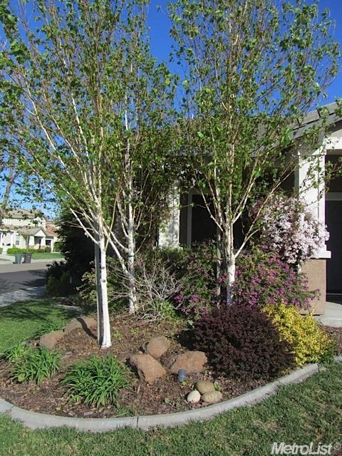 1364 Crossroads Dr, Tracy, CA 95377 photo 17