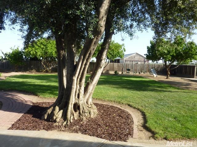 806 Lemon Ave, Patterson, CA 95363 photo 20