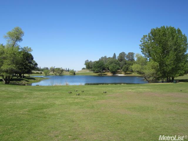 3301 Cableview Ct, Placerville, CA 95667 photo 20