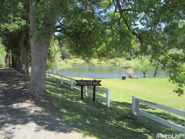 3301 Cableview Ct, Placerville, CA 95667 photo 18