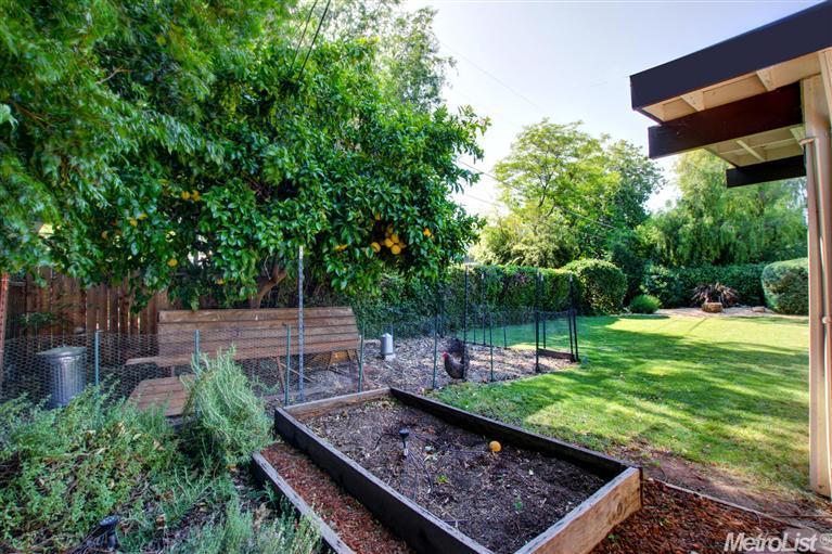 1512 Willow Ln, Davis, CA 95616 photo 23