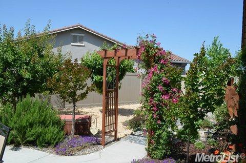 1344 Maple Valley St, Manteca, CA 95336 photo 21