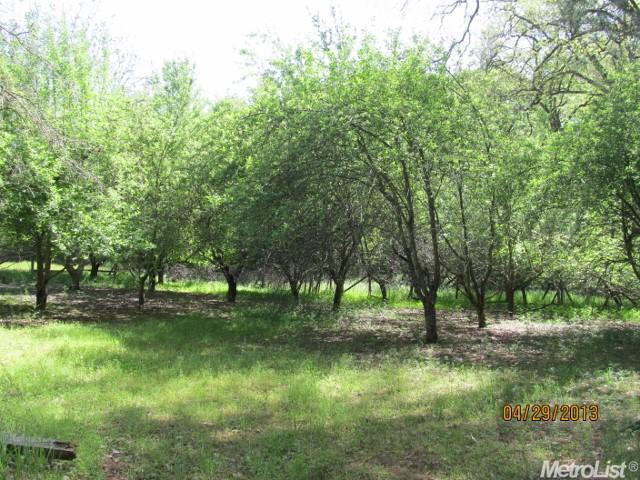 18624 Clinton Rd, Jackson, CA 95642 photo 4
