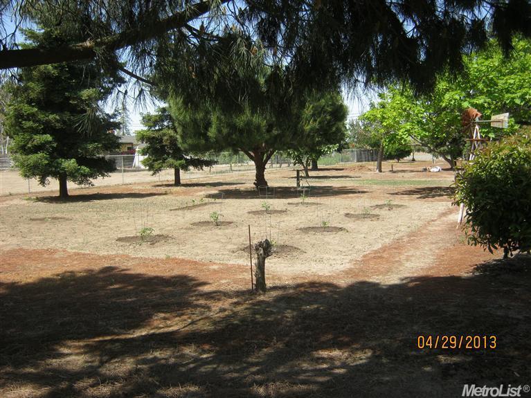 19451 N Ray Rd, Lodi, CA 95242 photo 11