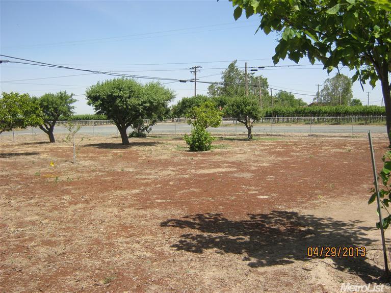 19451 N Ray Rd, Lodi, CA 95242 photo 14
