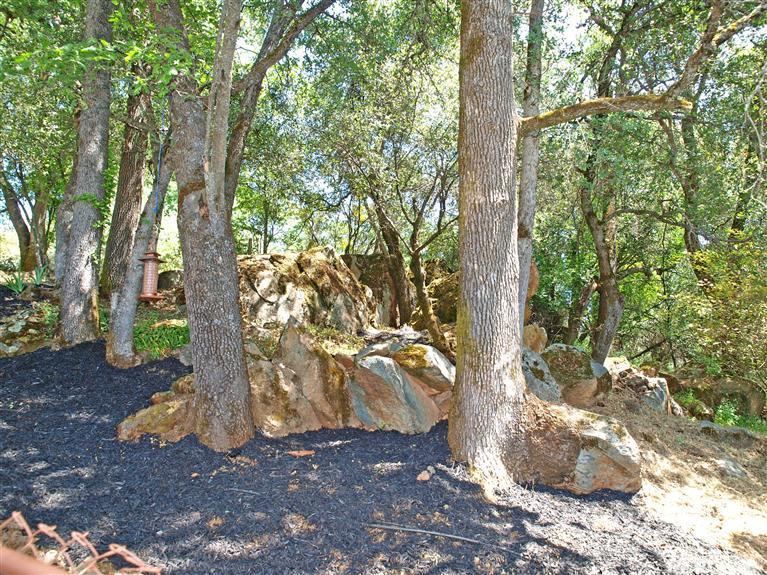 597 Fairview Dr, Placerville, CA 95667 photo 15