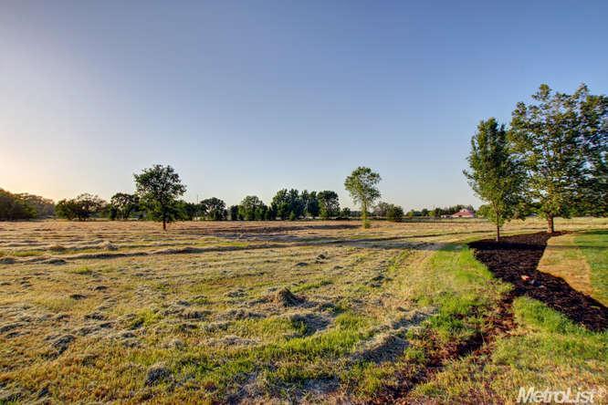 8475 Berry Rd, Wilton, CA 95693 photo 24