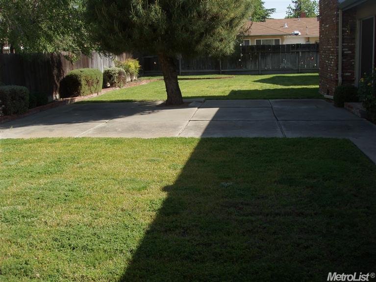 446 Hollywood Ave, Tracy, CA 95376 photo 14