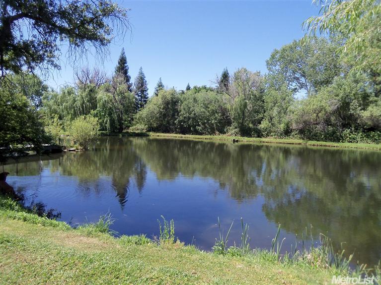7590 Dick Cook Rd, Loomis, CA 95650 photo 13