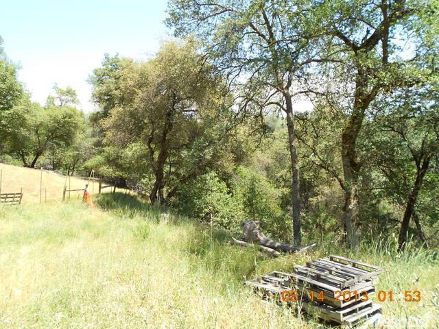 1161 Kathy Ln, Placerville, CA 95667 photo 18