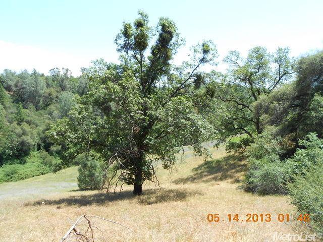 1161 Kathy Ln, Placerville, CA 95667 photo 13