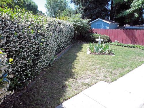 604 Recie Ct, Modesto, CA 95354 photo 13