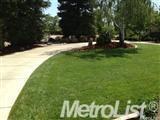 8339 Derringer Ct, Elverta, CA 95626 photo 4