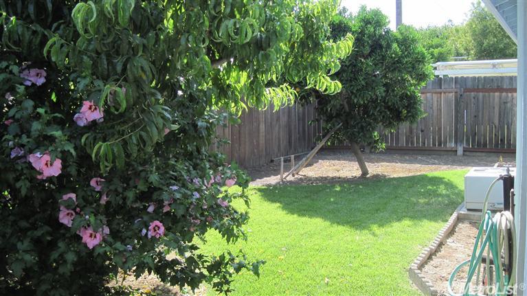 332 1st St, Lodi, CA 95240 photo 7
