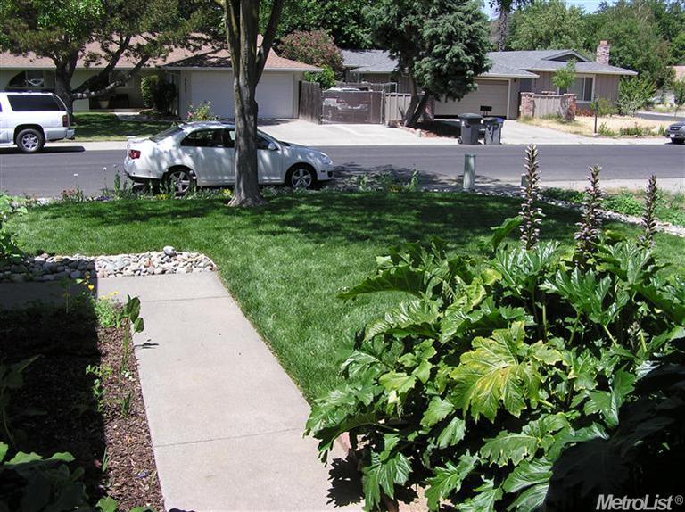 2808 Layton Dr, Davis, CA 95618 photo 3