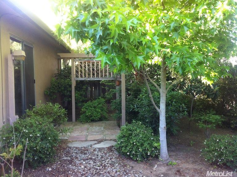 944 E Alameda St, Manteca, CA 95336 photo 18