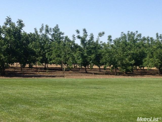 12910 Sycamore, Patterson, CA 95363 photo 7
