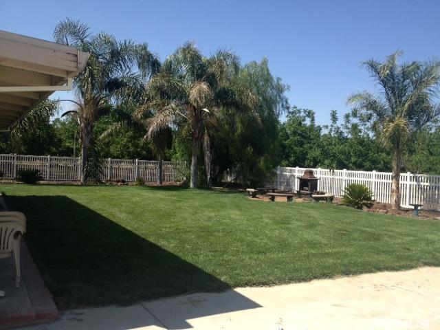 12910 Sycamore, Patterson, CA 95363 photo 6