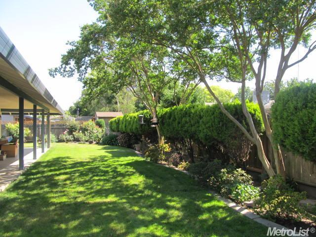 1113 Springcreek Dr, Modesto, CA 95355 photo 23