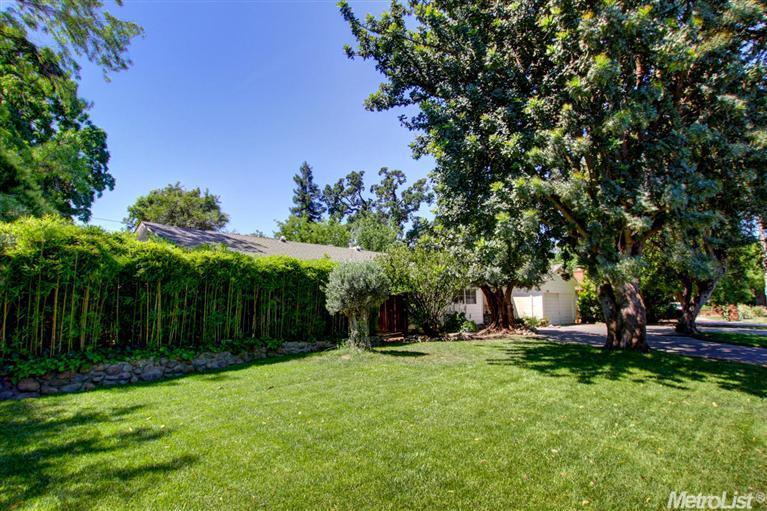 210 E 8th St, Davis, CA 95616 photo 24